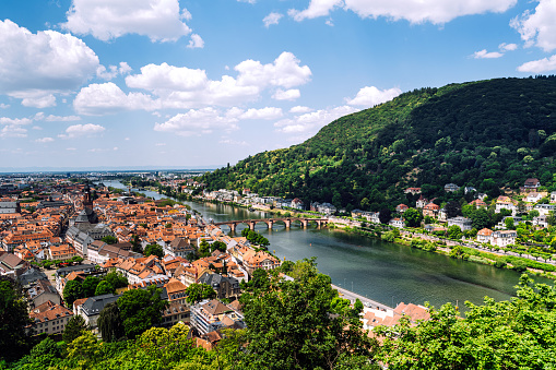 Heidelberg Rooftops and Necker River Valley with Forest Hills \nHeidelberg, Germany