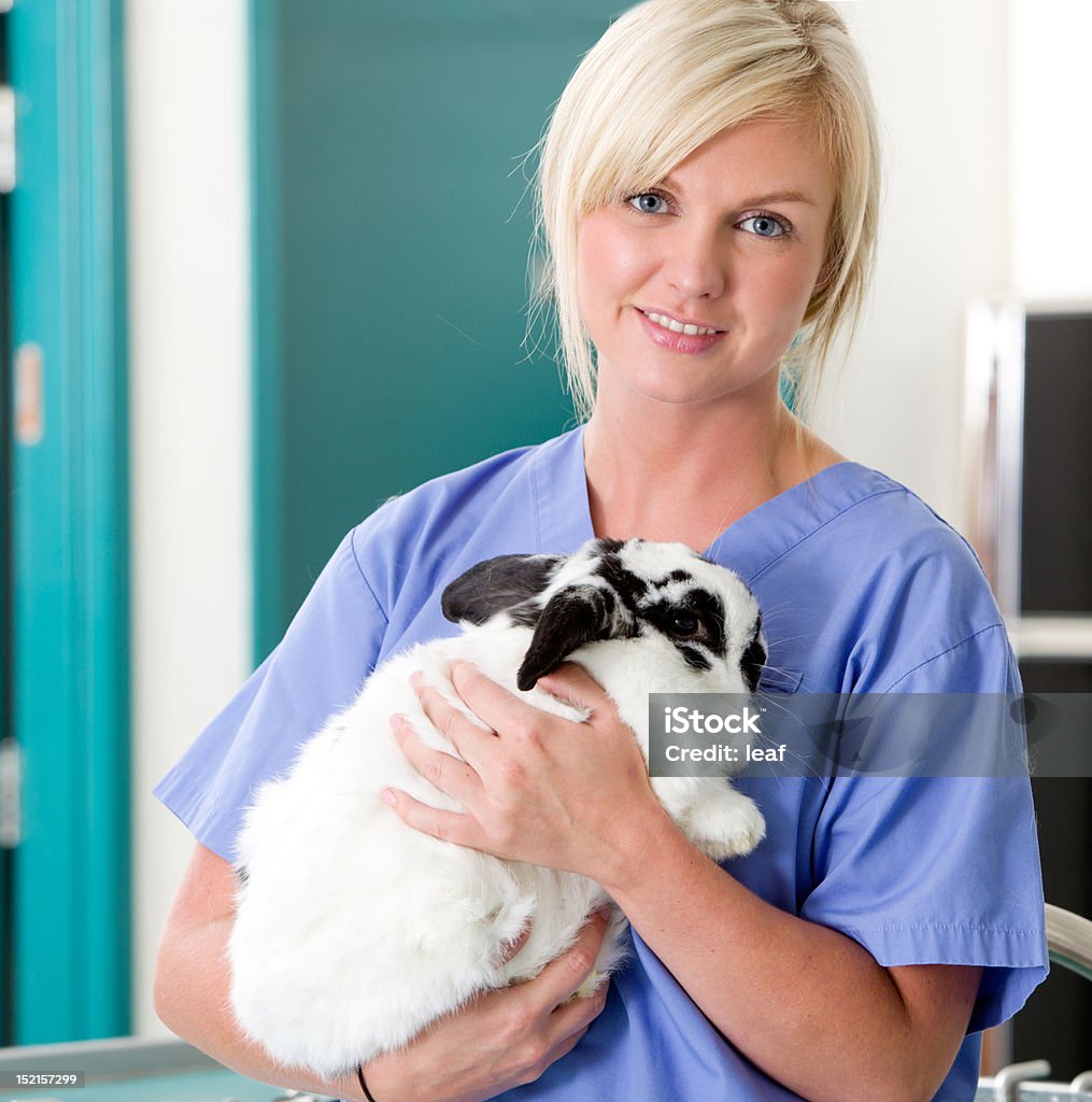 Veterinario femmina con coniglio - Foto stock royalty-free di 25-29 anni