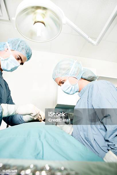 Surgeon Working Stock Photo - Download Image Now - Adult, Animal, Animal Hospital