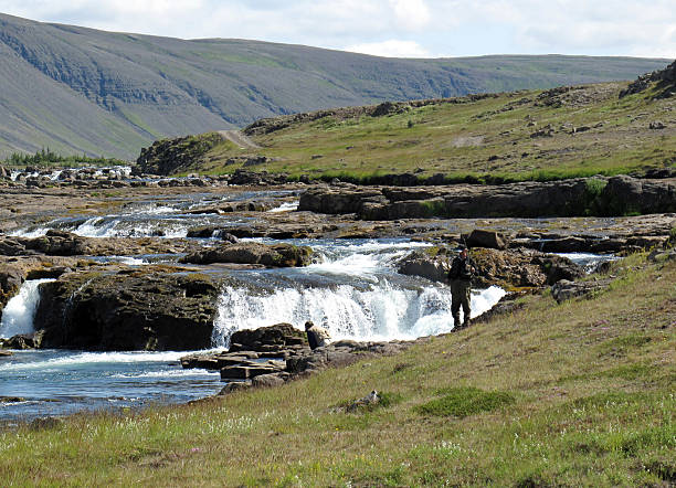 Fisherman fighting the salmons in an Icelandic river