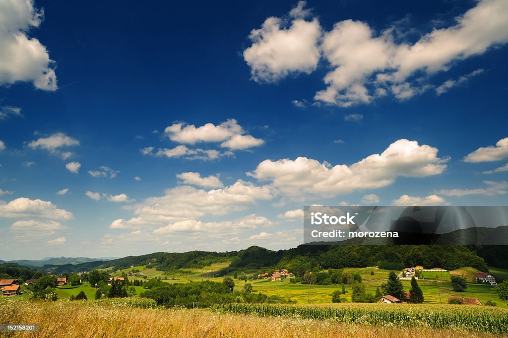 Campagna idilliaca. Scena rurale sotto il cielo azzurro. Croazia, Zagorje. - Foto stock royalty-free di Agricoltura