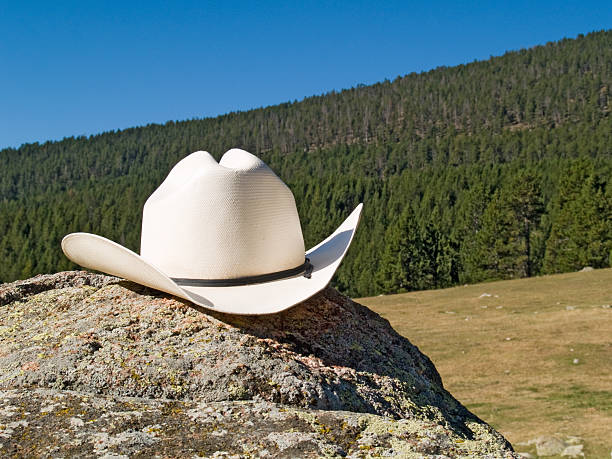 istock Cowboy hat in the nature 152158720
