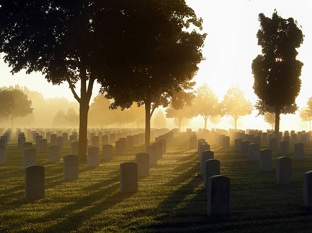 National cemetery in the fog on a bright morning