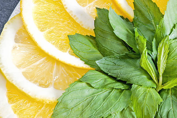 Lemon and orange with mint leaves