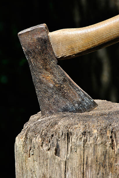 istock Old Lumberjack's Axe stuck in a chopping block closeup 152159300