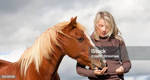 Photo libre de droit de Battu Par Le Vent Femme Flux Pony À La Main banque d'images et plus d'images libres de droit de Cheval - Cheval, Nourrir, Femmes