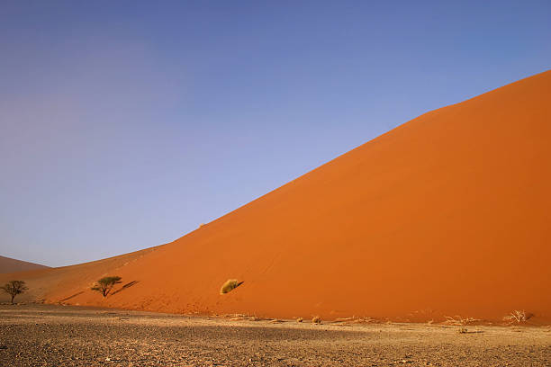 istock Dune 45 in desert of Namibia 152159939