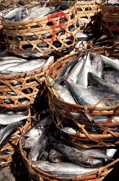 Baskets full of fish at the fishmarket  in Indonesia