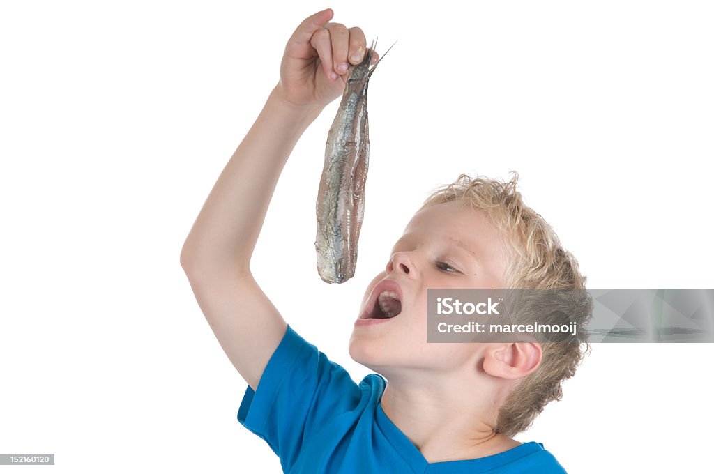 Eating a herring the Dutch way Little boy eating a herring. It is a Dutch tradition to eat a herring like this. In Holland they also call a herring a Maatje. Backgrounds Stock Photo