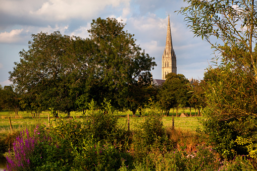 Evening summer sunshine on Salisbury Cathedral, Wiltshire. UK