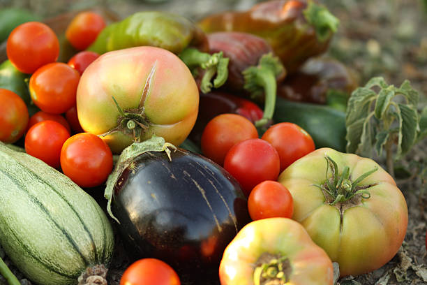 Fresh vegetables stock photo