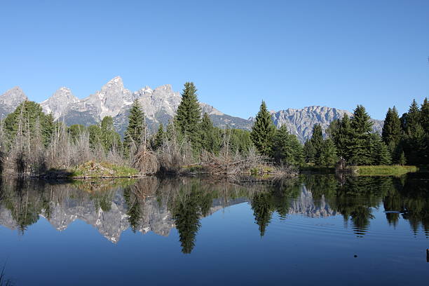 Grand Teton Mountain Range reflecting in lake stock photo