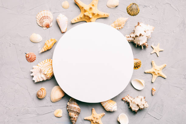 istock Summer time concept with blank greeting card and blank white paper on colored background. Seashells from ocean shore in the shape of frame separated with space for text top view 1521602236