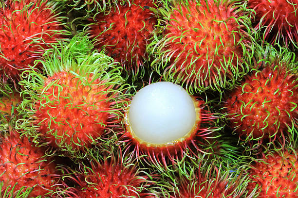 rambutan - rambutan foto e immagini stock