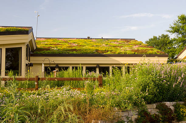 istock Lebanon Hills Visitor Center and Gardens 152161022