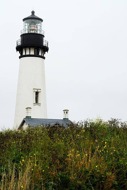 Yaquina Head Lighthouse stock photo