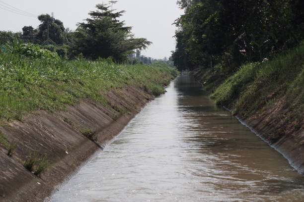 istock Irrigation canals distribute water to rice fields in Indonesia 1521615775