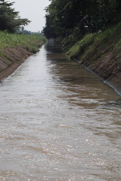 istock Irrigation canals distribute water to rice fields in Indonesia 1521616294