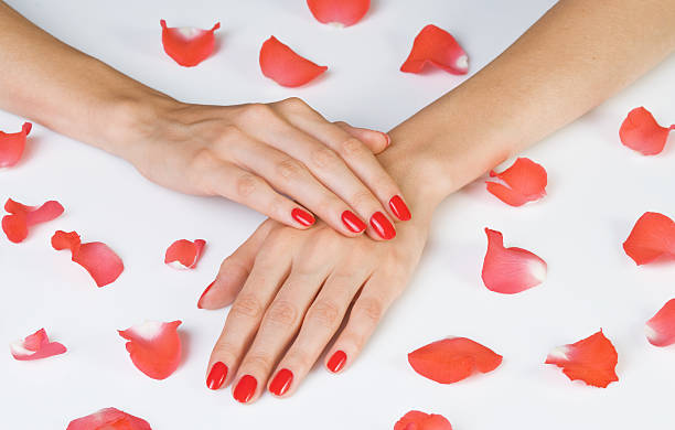 istock Hands with red manicure and rose petals lying down 152161659