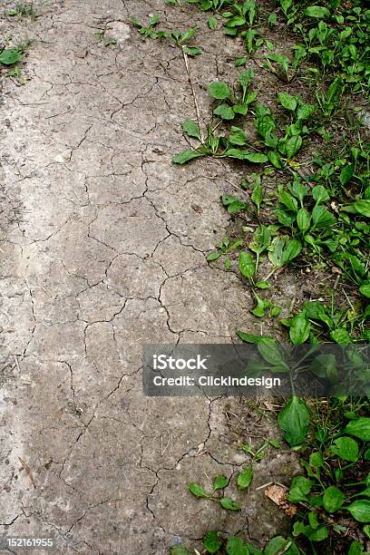 Leben Und Tod Wunderschöne Natur Hintergrund Vertikale Stockfoto und mehr Bilder von Ausgedörrt