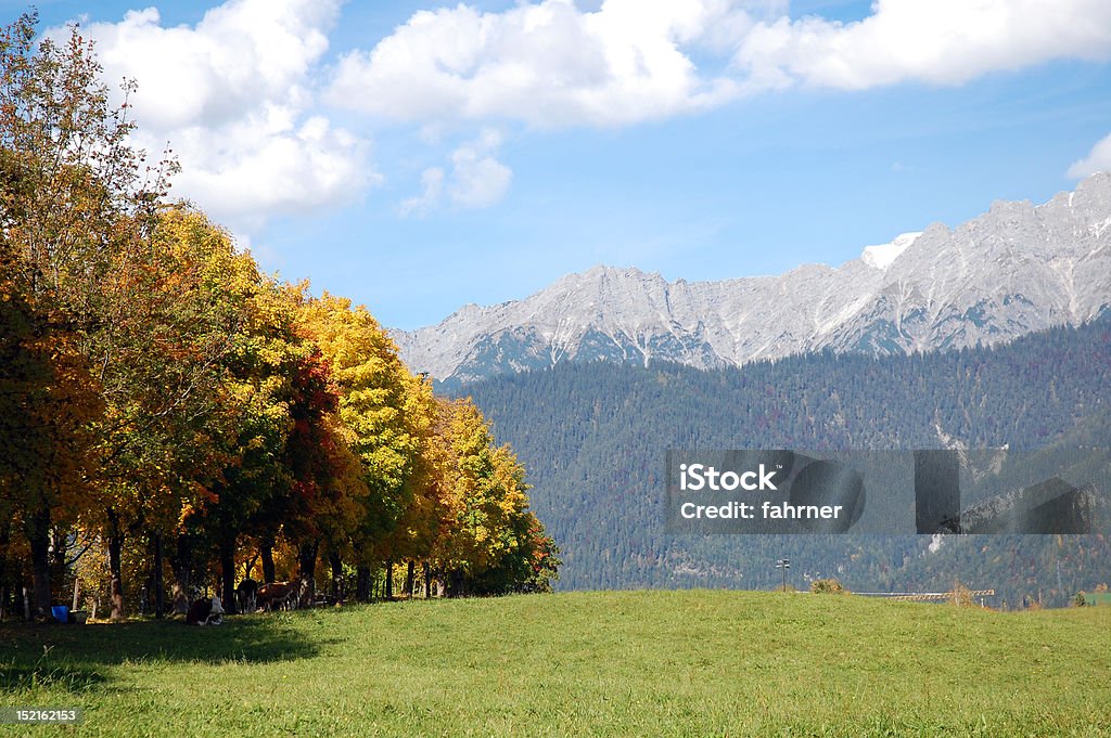 Outono nos Alpes austríacos - Foto de stock de Alpes europeus royalty-free