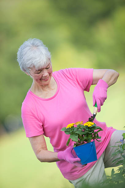 sênior mulher plantação de flores - planting clothing gray hair human age - fotografias e filmes do acervo