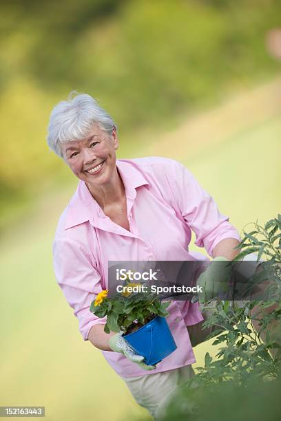 Senior Lady Divertirsi Nel Giardino Di Fiore - Fotografie stock e altre immagini di 60-69 anni - 60-69 anni, Accovacciarsi, Adulto