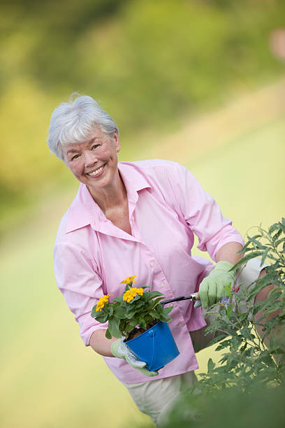 sênior mulher se divertindo no jardim de flores - planting clothing gray hair human age - fotografias e filmes do acervo