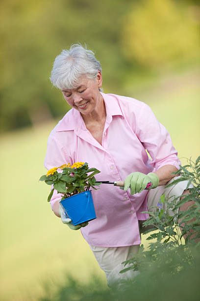 Grandmother Working In Flower Garden