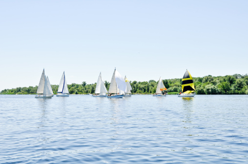 dozens of yacht racing with full wind