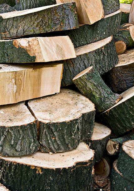 Logs stock photo