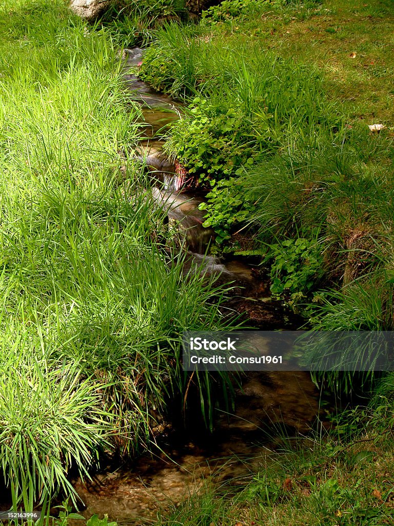 Creek - Foto de stock de Agua libre de derechos