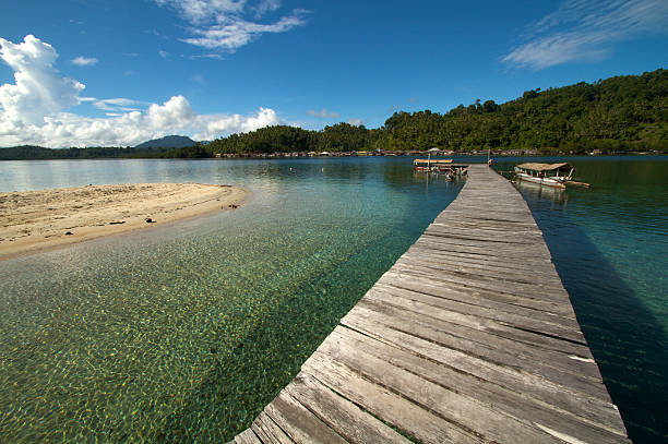 Wooden jetty over tropical beach stock photo