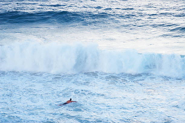 istock Noosa Heads surfing 152165457