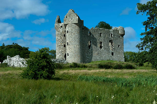 Ulster Plantation Zamek – zdjęcie