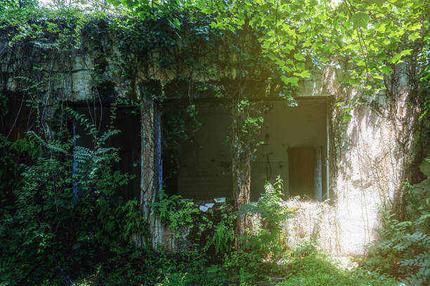 istock Lost abandoned building overgrown with greenery and plants in forest. Mysterious forest atmosphere 1521688560