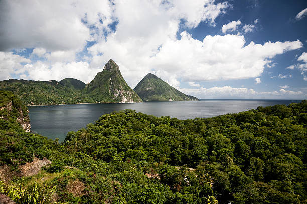 istock Landscape of pitons of Saint Lucia 152169088