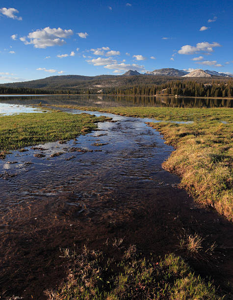 istock Spring reflections at Tuolumne Meadows in Yosemite 152169824