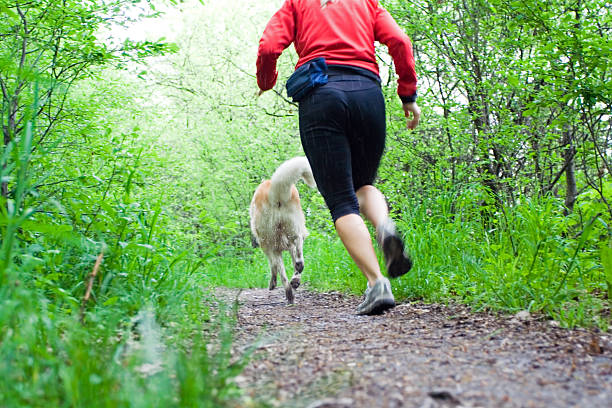 istock Running on trail in forest with dog 152170650