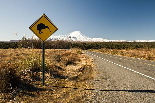 istock Road sign with kiwi  152171126