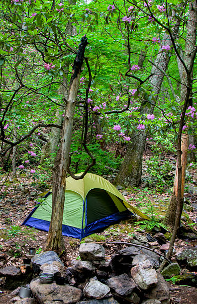 Campsite on Appalachian Trail stock photo