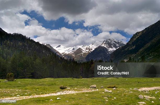 Aiguadassimeadows Foto de stock y más banco de imágenes de Abeto - Abeto, Aire libre, Boscaje