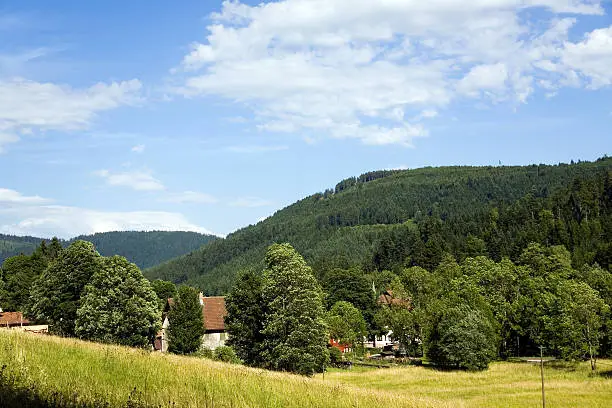 Landscape in the Black-Forest, Germany .