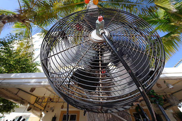 istock Breezy Fan on South Beach 152173783