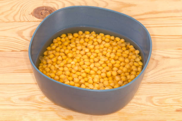 Uncooked yellow chickpeas soaked in blue-gray bowl before cooking
