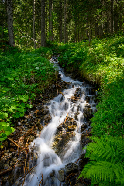 Beautiful landscape with a clearing in the mountains with a small river. Silbertal, Montafon, Vorarlberg