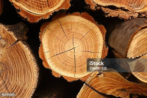 Empilhados De Registos - Fotografias de stock e mais imagens de Anel de árvore - Anel de árvore, Madeira - Material, Mata