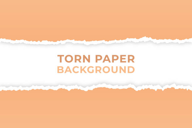 Torn Paper Background Vector Design. vector art illustration
