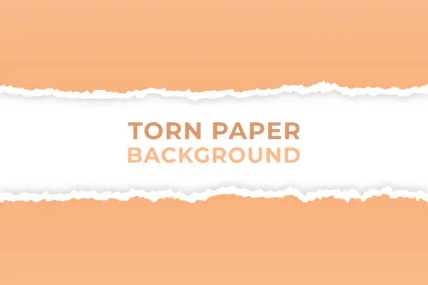 Vector illustration of Torn Paper Background Vector Design.