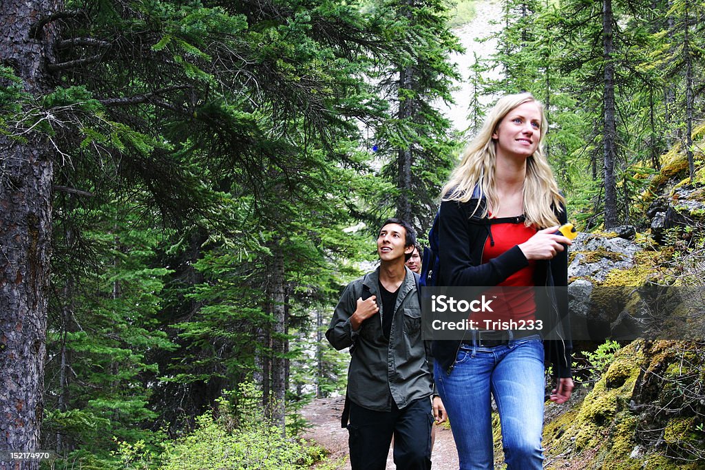 Three hikers Three hikers searching for a geocache Activity Stock Photo